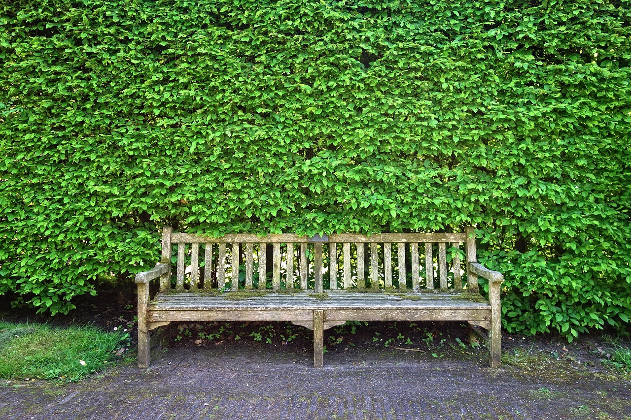 Compacte terrashaard als tafel en zitplaats. Compacte terrashaard als tafel en zitplaats.