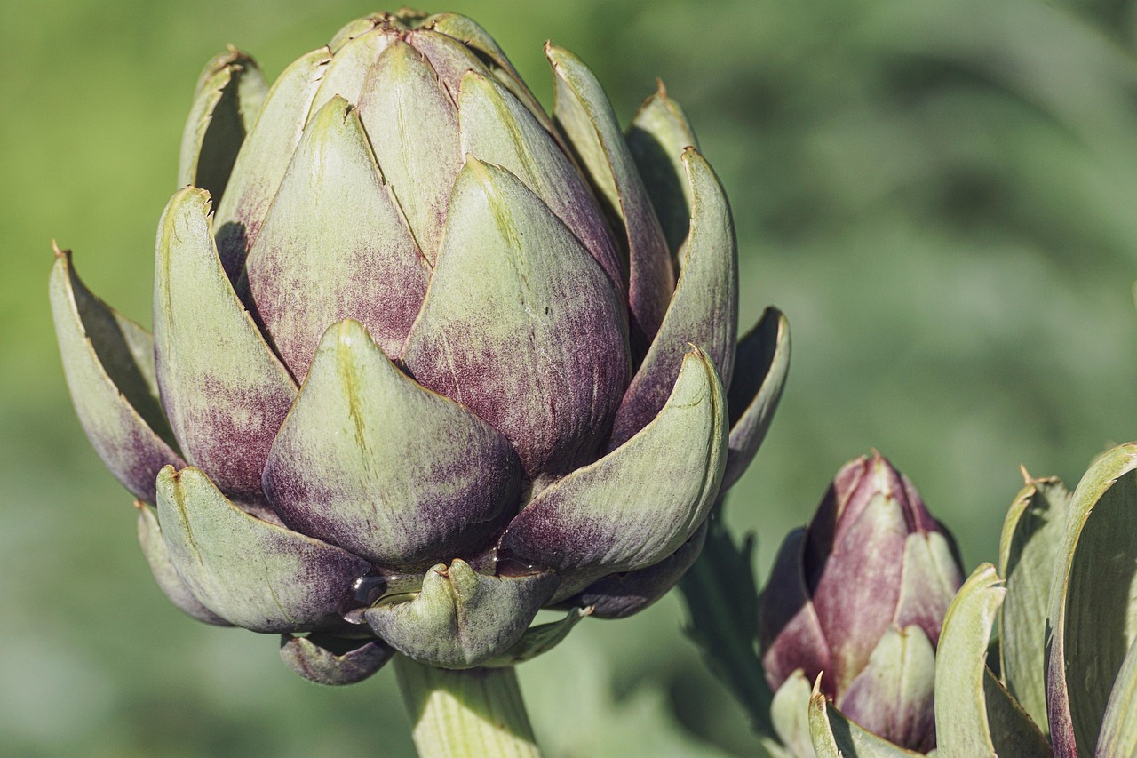 Verse desserts gegarneerd met lente-bloemen.