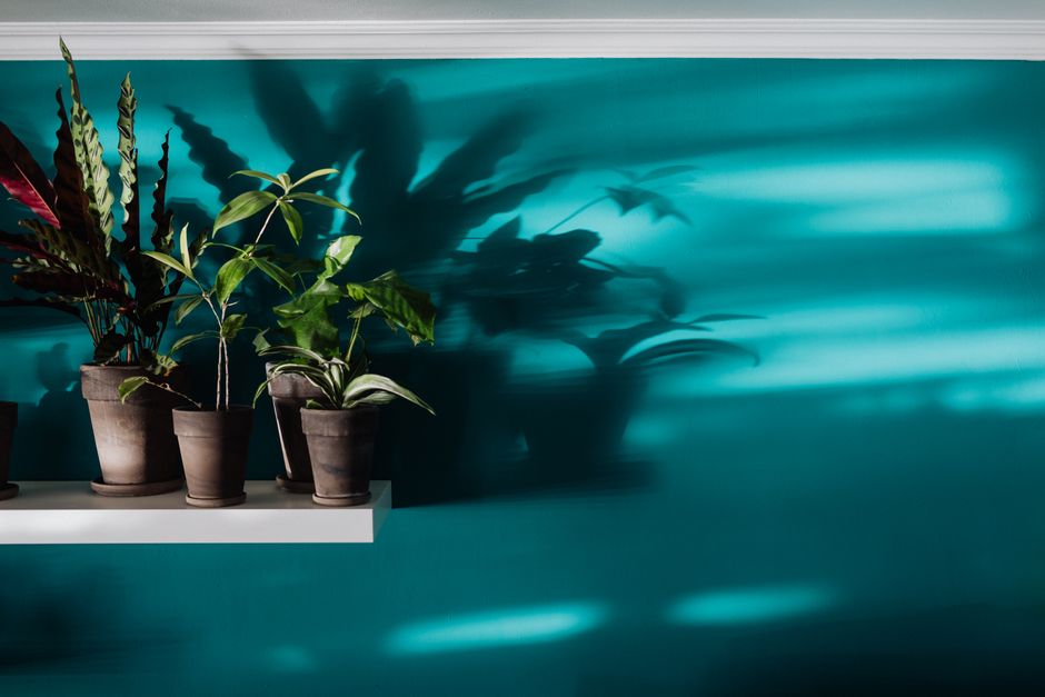 Gezellige slaapkamer met energiebesparende nachtplanten.