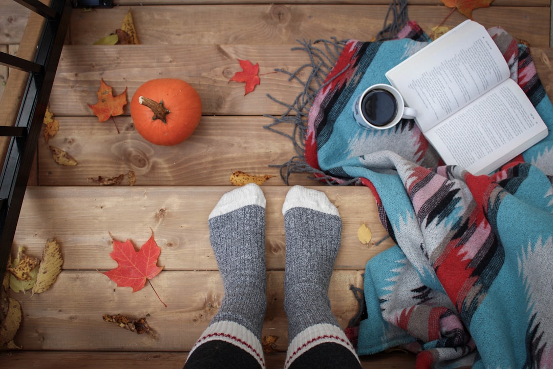 Warme minimalistische bank op herfstterras