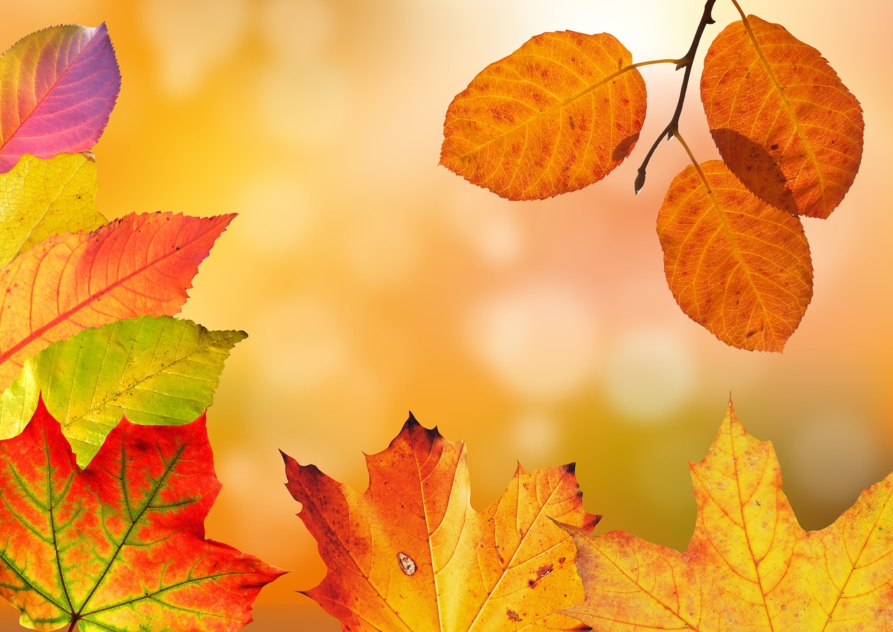 Gezellige eetkamerinrichting met Lissabon-stijl herfsttinten.