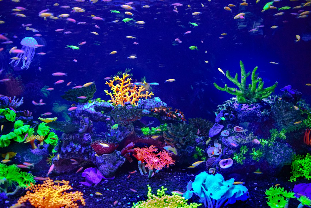 Onderwaterthema decoraties met zeemeermin-fantasie. Onderwaterthema decoraties met zeemeermin-fantasie.